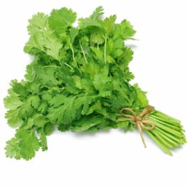 Shadanmart | Dried Coriander
