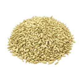 Shadanmart | Green Cumin Seeds