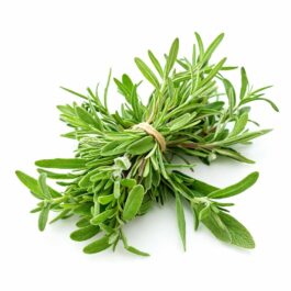 Shadanmart | Summer Savory