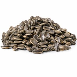 Shadanmart | Sunflower Seeds